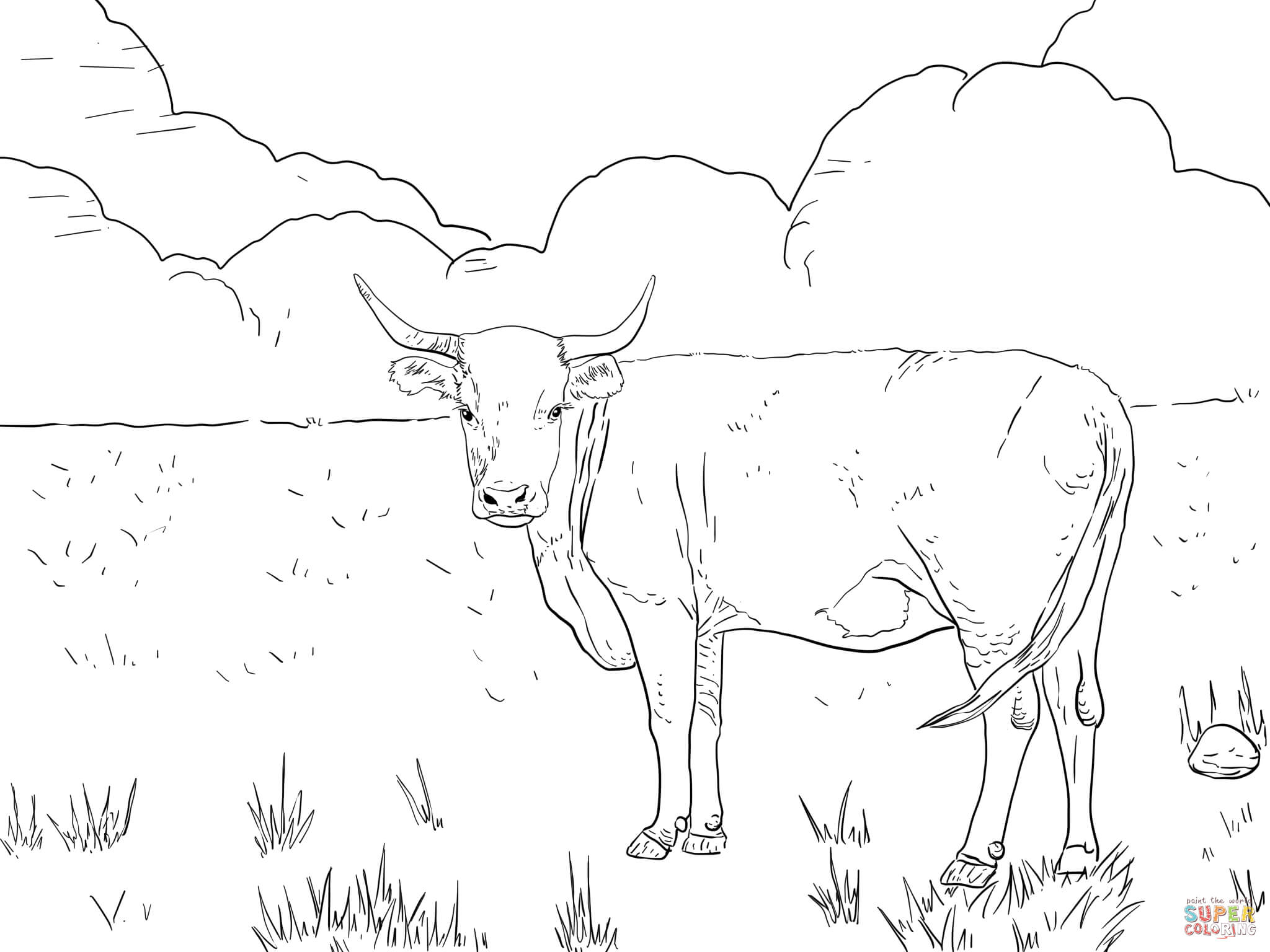 105 Cow Coloring Pages for Kids Printable 78