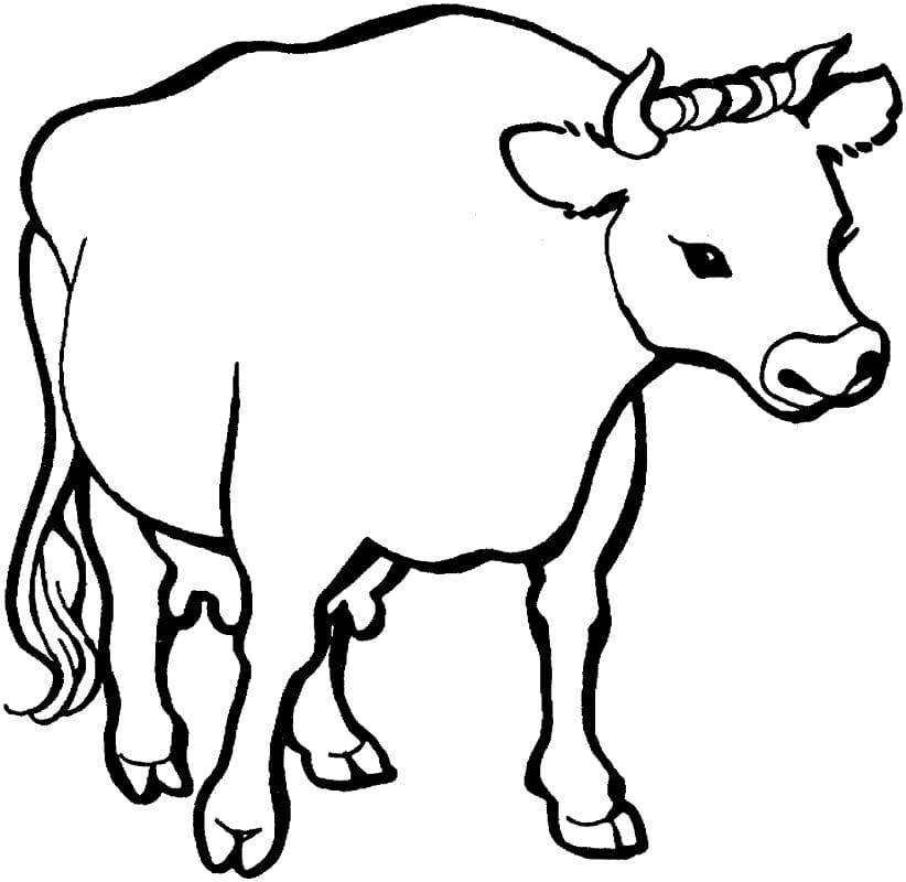 105 Cow Coloring Pages for Kids Printable 84