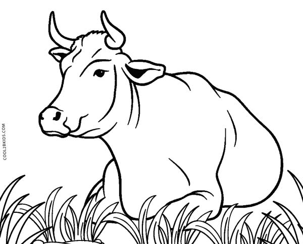 105 Cow Coloring Pages for Kids Printable 85