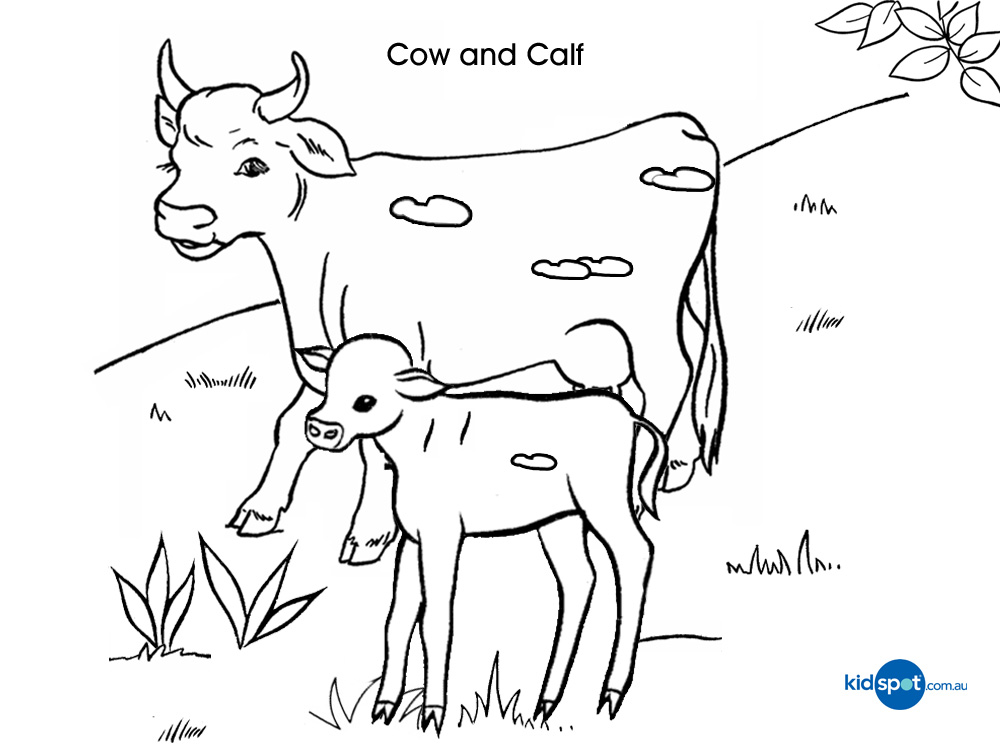 105 Cow Coloring Pages for Kids Printable 86