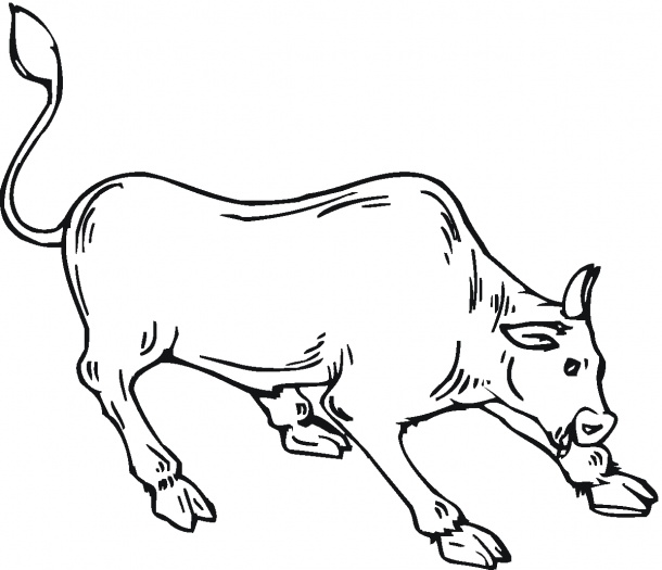 105 Cow Coloring Pages for Kids Printable 96