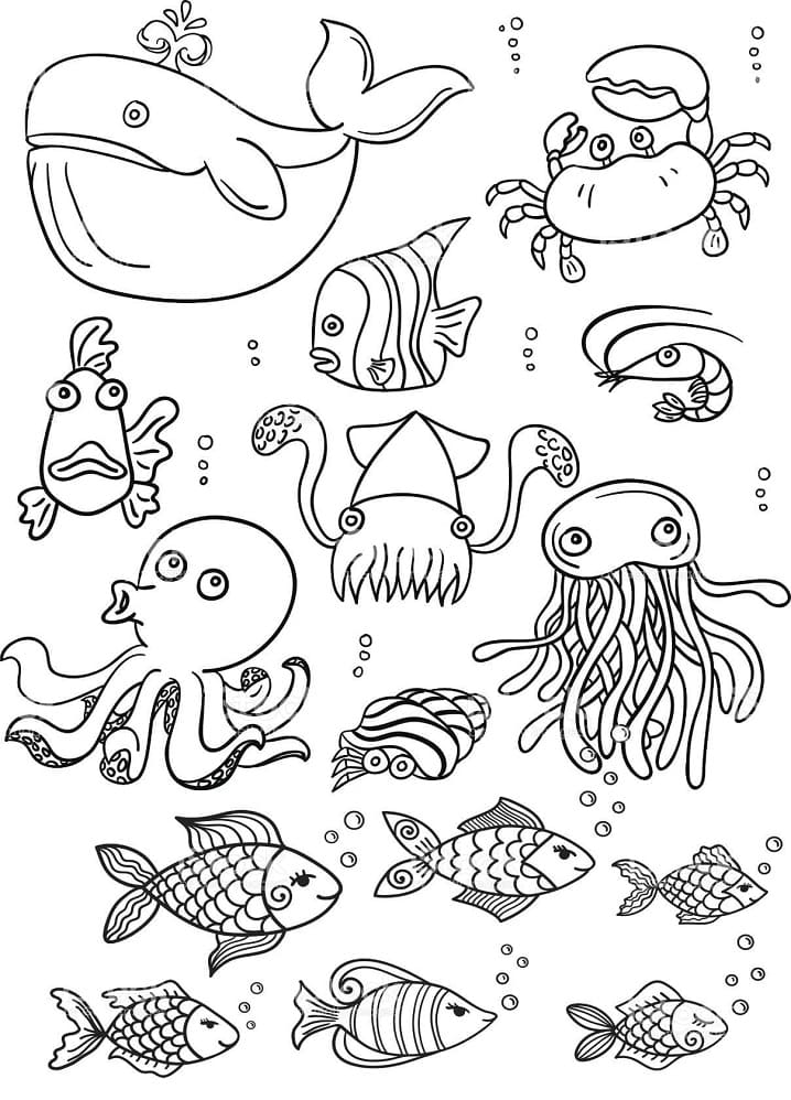 110 Ocean Coloring Pages for Kids Printable 102