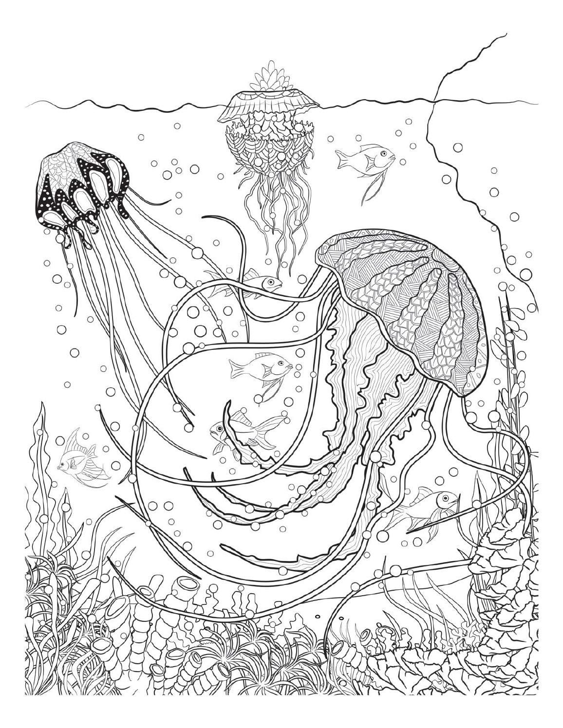 110 Ocean Coloring Pages for Kids Printable 104