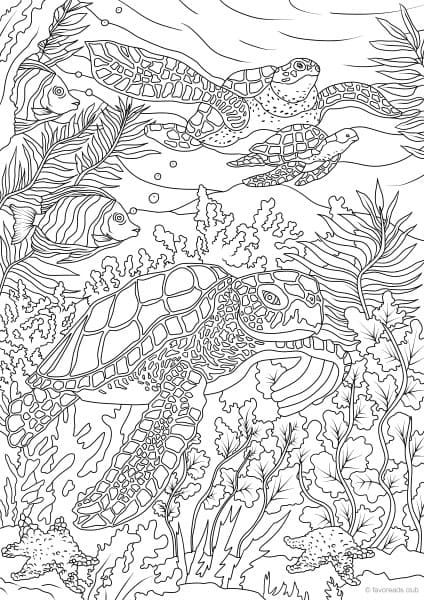 110 Ocean Coloring Pages for Kids Printable 107