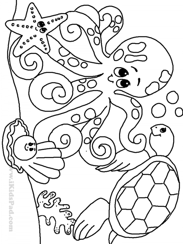 110 Ocean Coloring Pages for Kids Printable 14