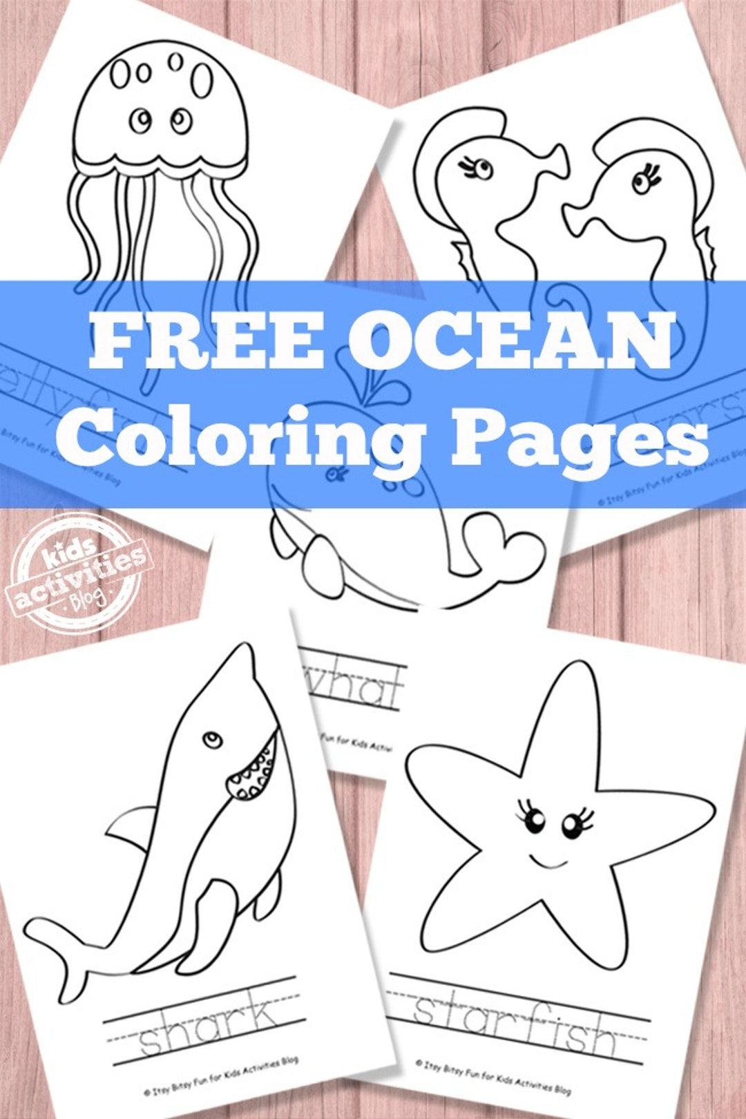 110 Ocean Coloring Pages for Kids Printable 26