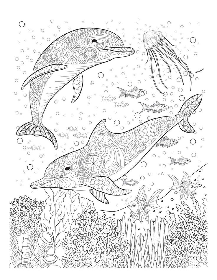 110 Ocean Coloring Pages for Kids Printable 42