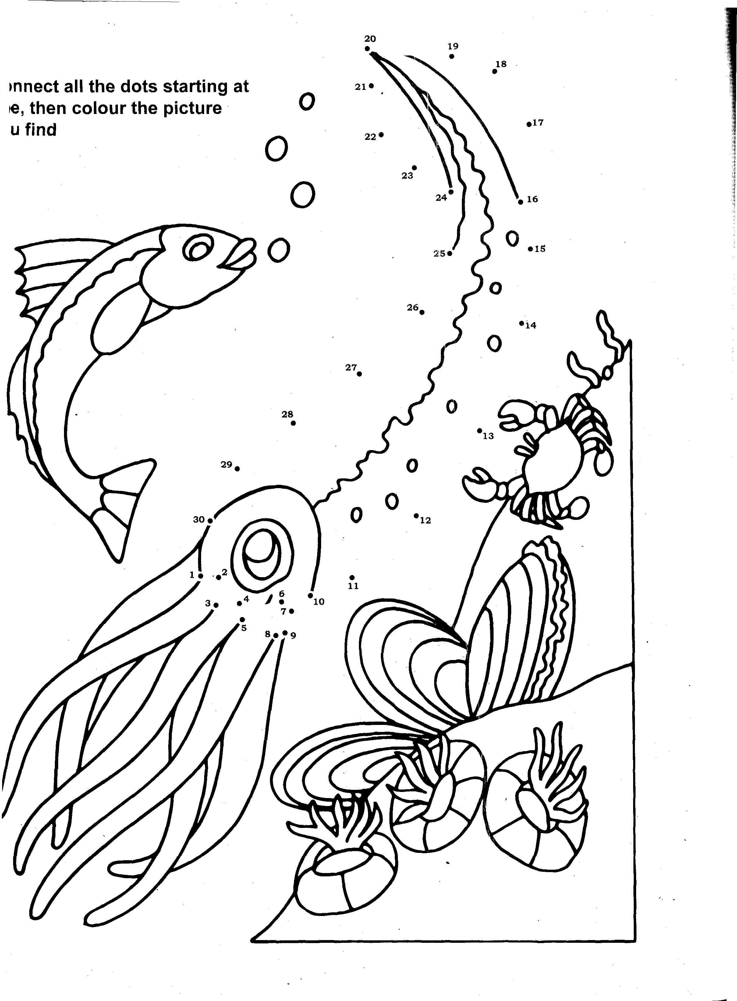 110 Ocean Coloring Pages for Kids Printable 43