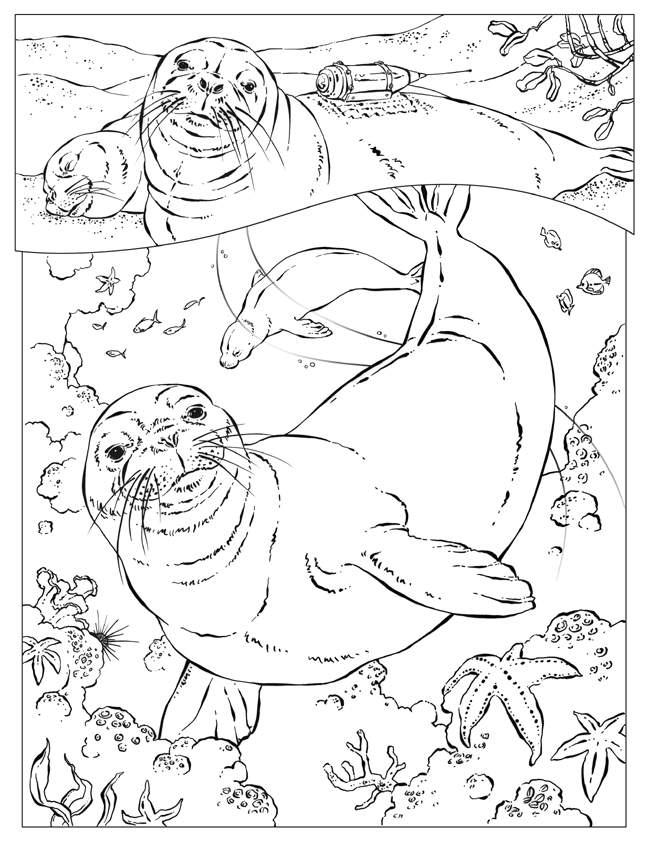 110 Ocean Coloring Pages for Kids Printable 44