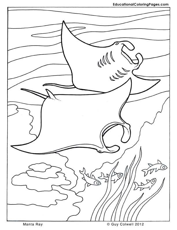 110 Ocean Coloring Pages for Kids Printable 45