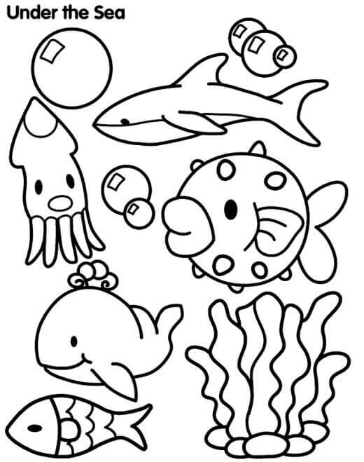 110 Ocean Coloring Pages for Kids Printable 47