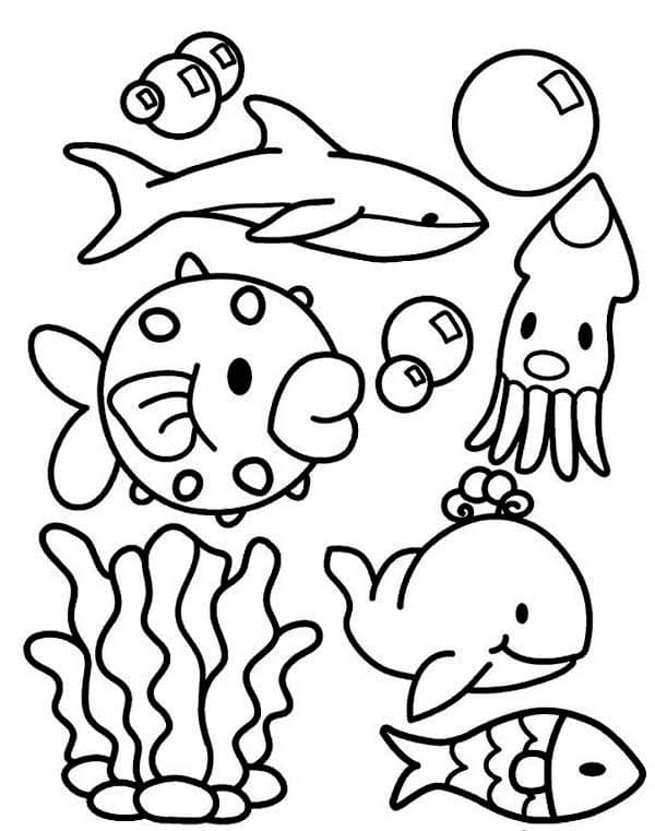 110 Ocean Coloring Pages for Kids Printable 54