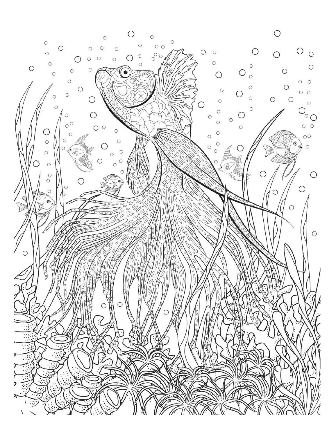 110 Ocean Coloring Pages for Kids Printable 57