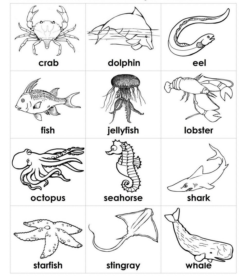 110 Ocean Coloring Pages for Kids Printable 62