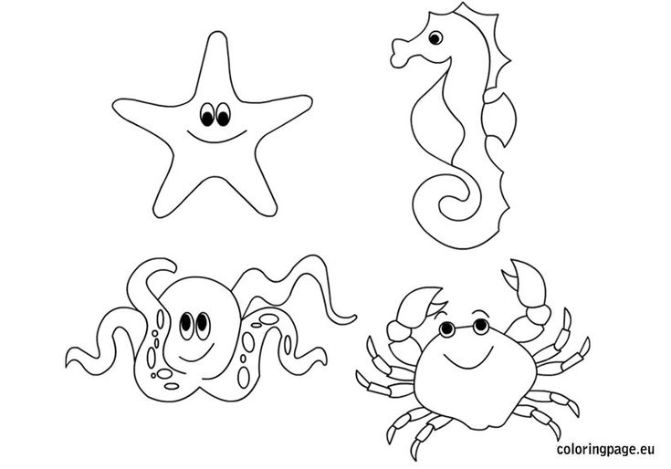 110 Ocean Coloring Pages for Kids Printable 72