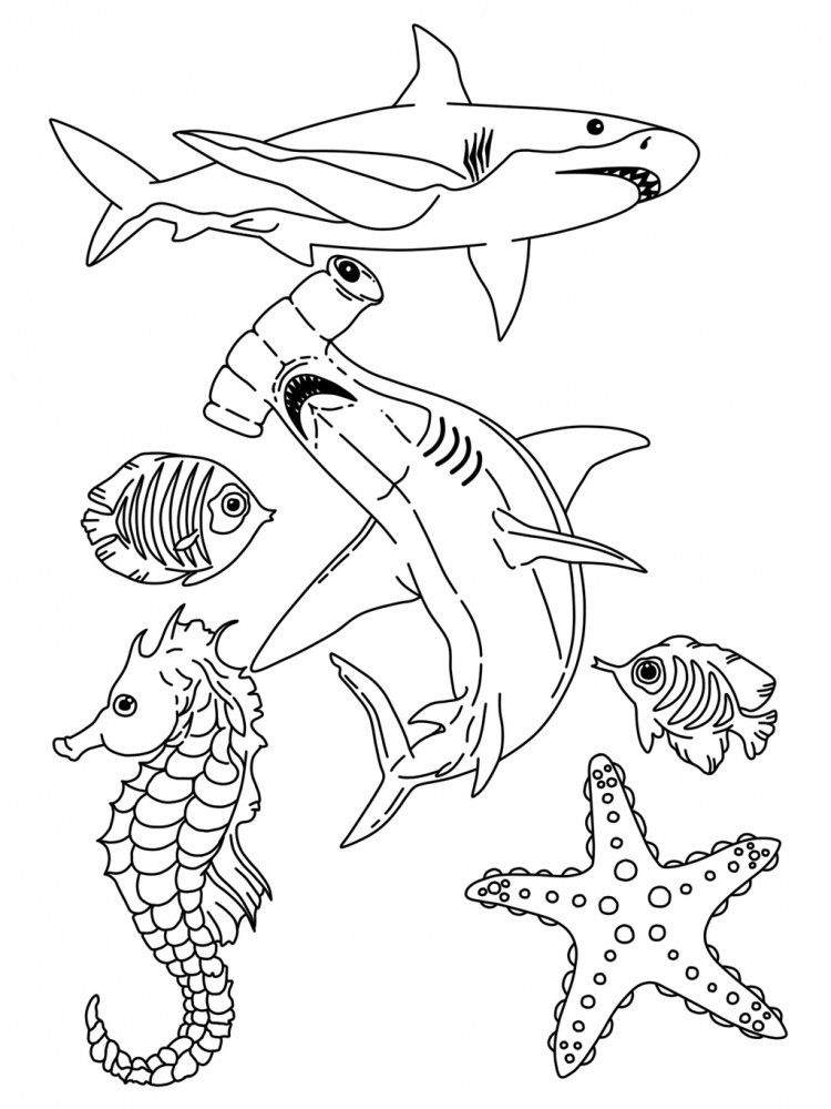 110 Ocean Coloring Pages for Kids Printable 73