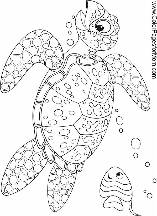 110 Ocean Coloring Pages for Kids Printable 74