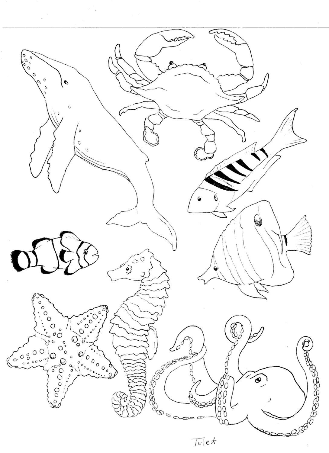 110 Ocean Coloring Pages for Kids Printable 76