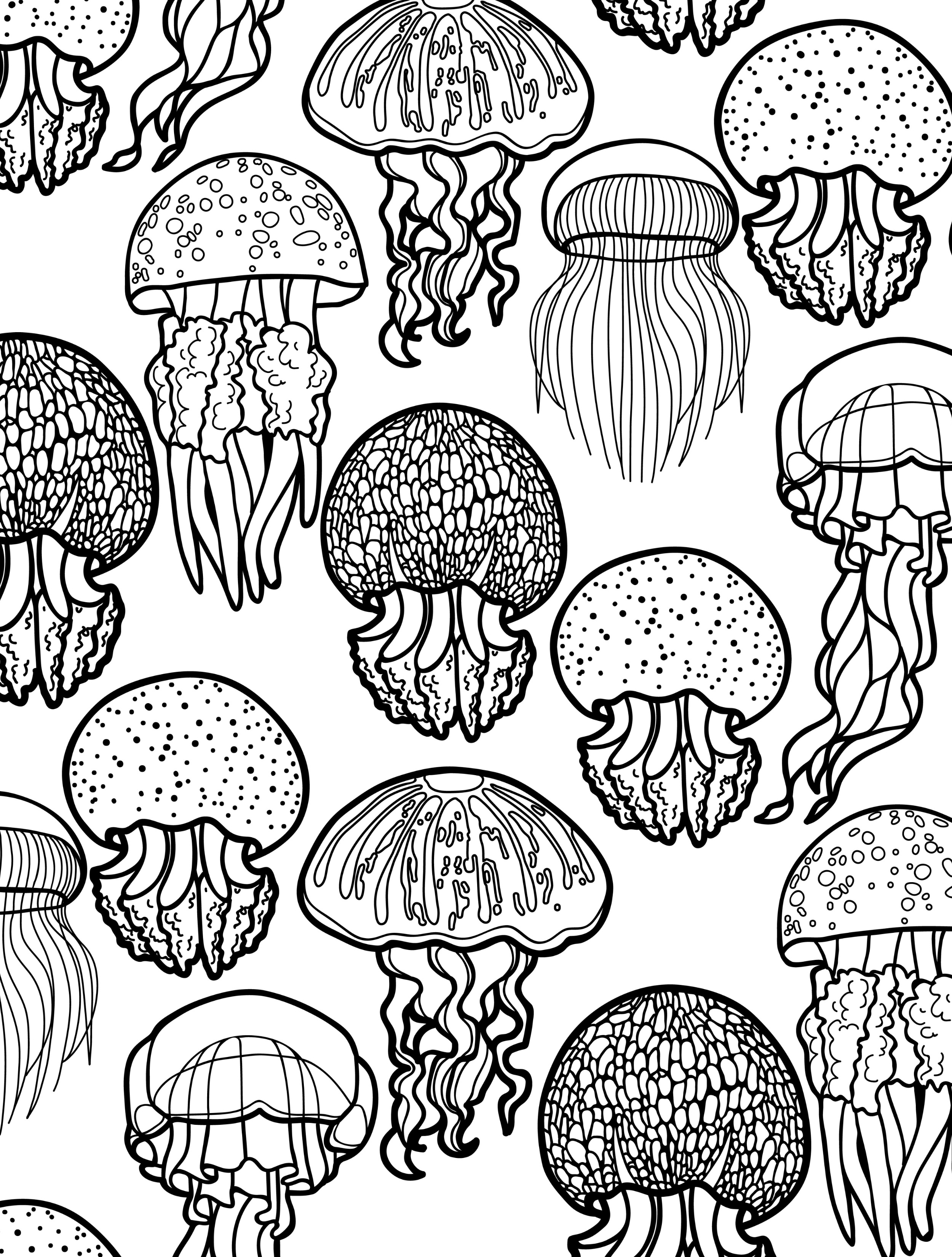 110 Ocean Coloring Pages for Kids Printable 78