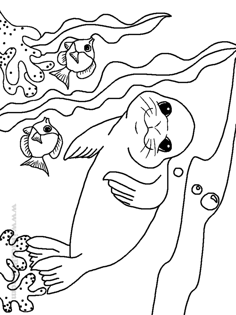 110 Ocean Coloring Pages for Kids Printable 8