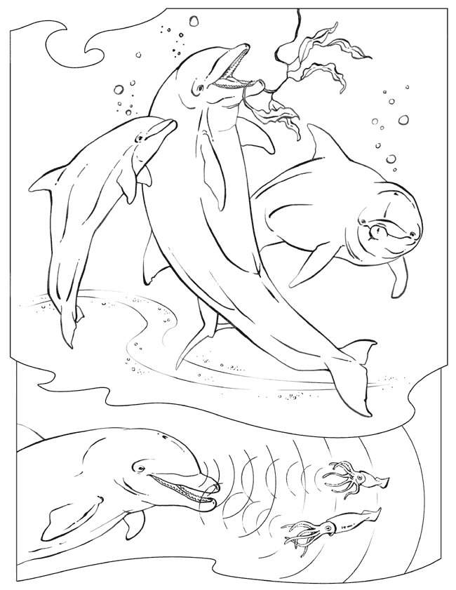 110 Ocean Coloring Pages for Kids Printable 81