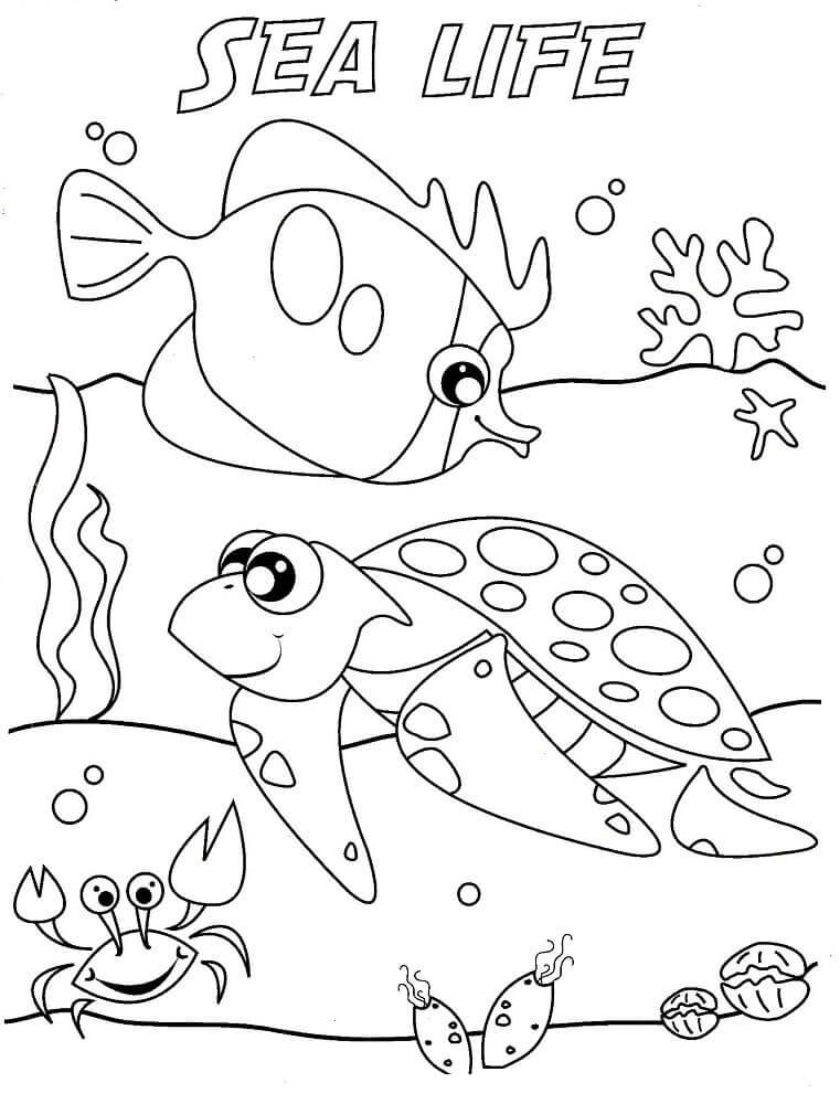 110 Ocean Coloring Pages for Kids Printable 85