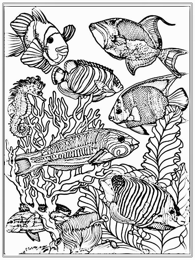 110 Ocean Coloring Pages for Kids Printable 92