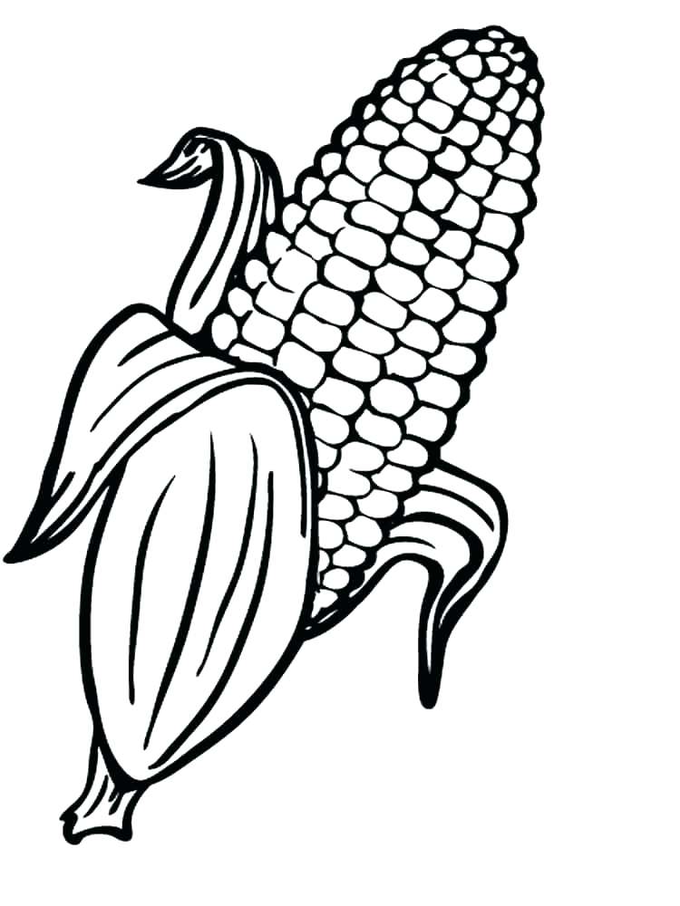 120 Corn Coloring Pages Printable 1