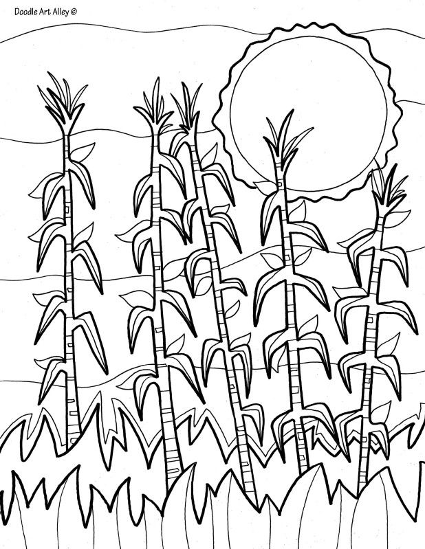 120 Corn Coloring Pages Printable 101