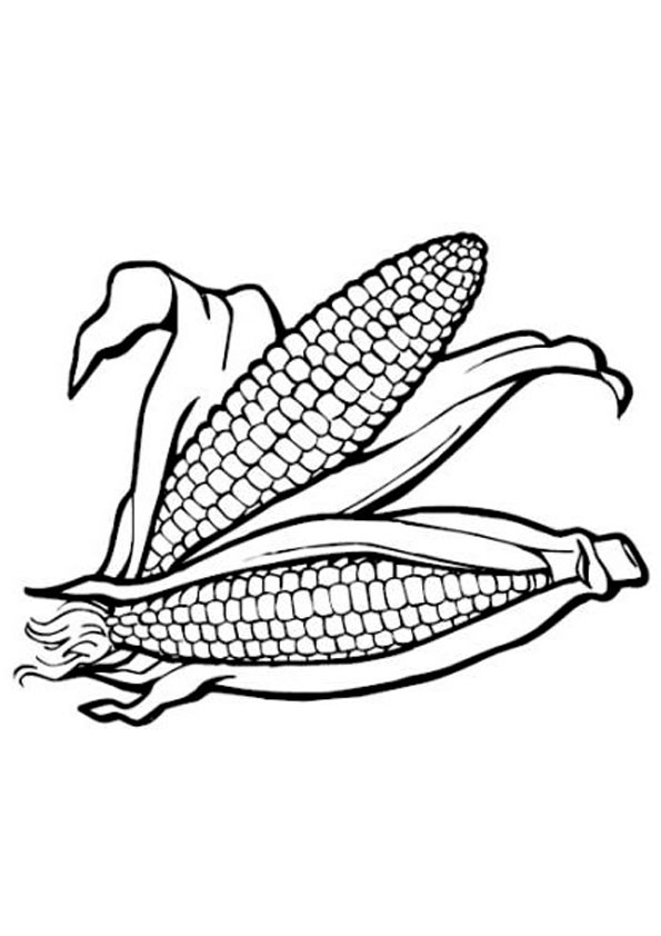 120 Corn Coloring Pages Printable 102