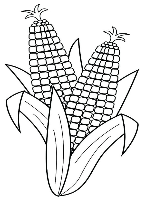 120 Corn Coloring Pages Printable 103