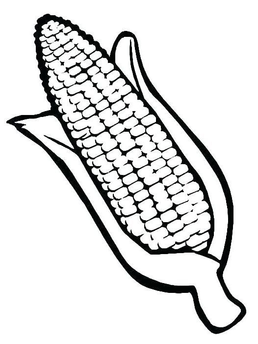 120 Corn Coloring Pages Printable 109