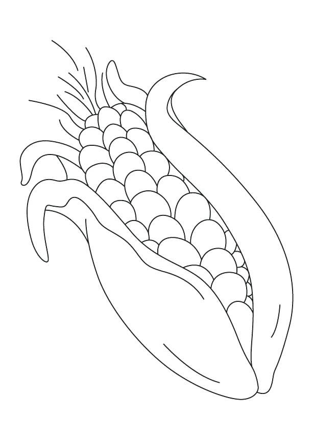 120 Corn Coloring Pages Printable 115