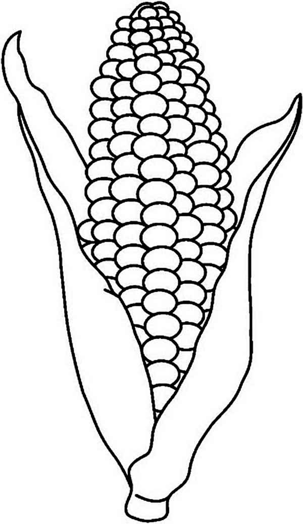 120 Corn Coloring Pages Printable 13