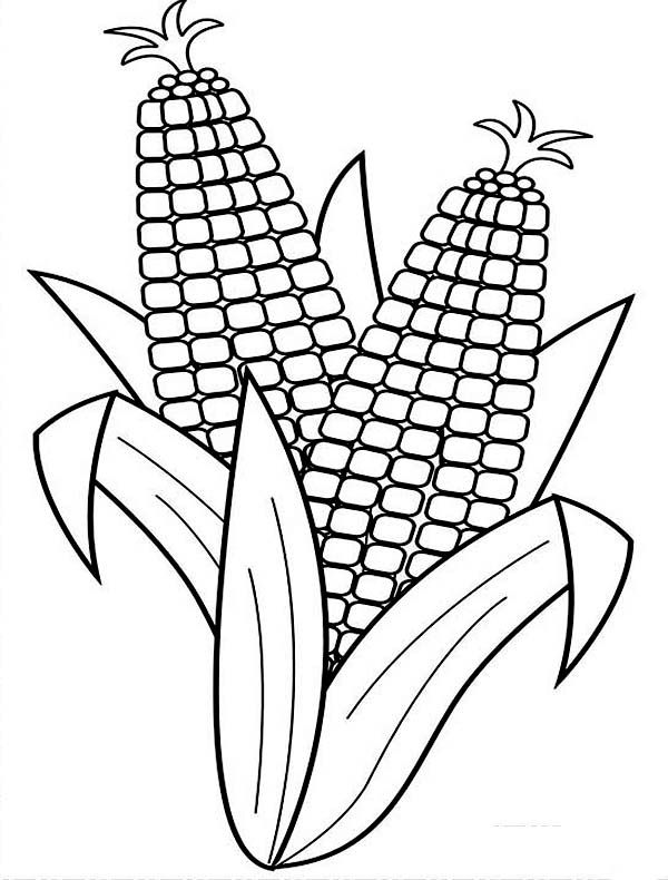 120 Corn Coloring Pages Printable 17