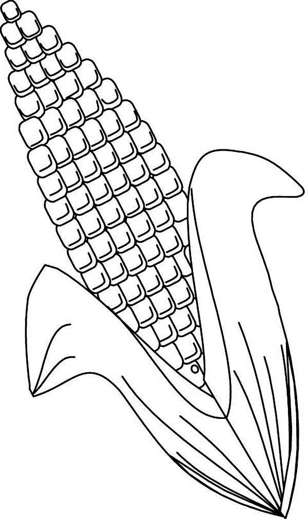 120 Corn Coloring Pages Printable 21