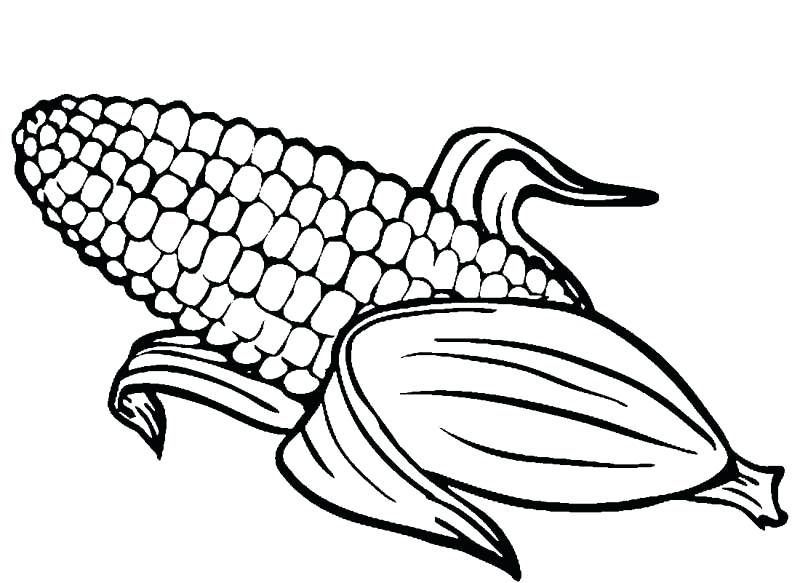 120 Corn Coloring Pages Printable 27