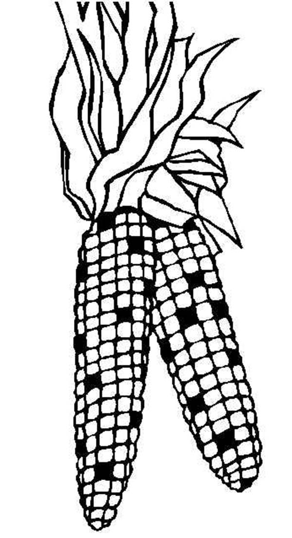 120 Corn Coloring Pages Printable 29