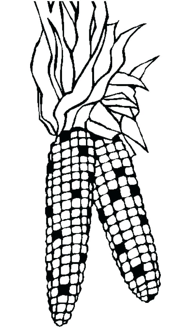 120 Corn Coloring Pages Printable 31