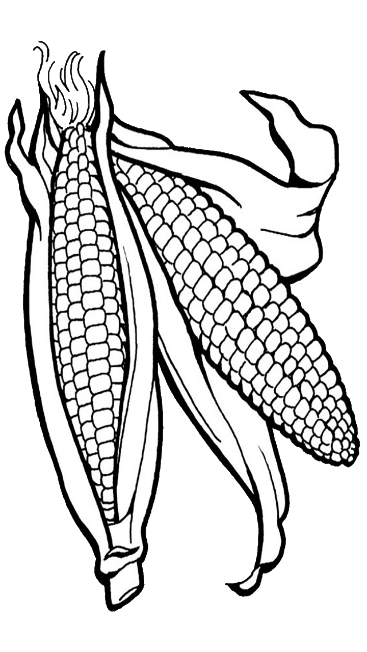 120 Corn Coloring Pages Printable 32