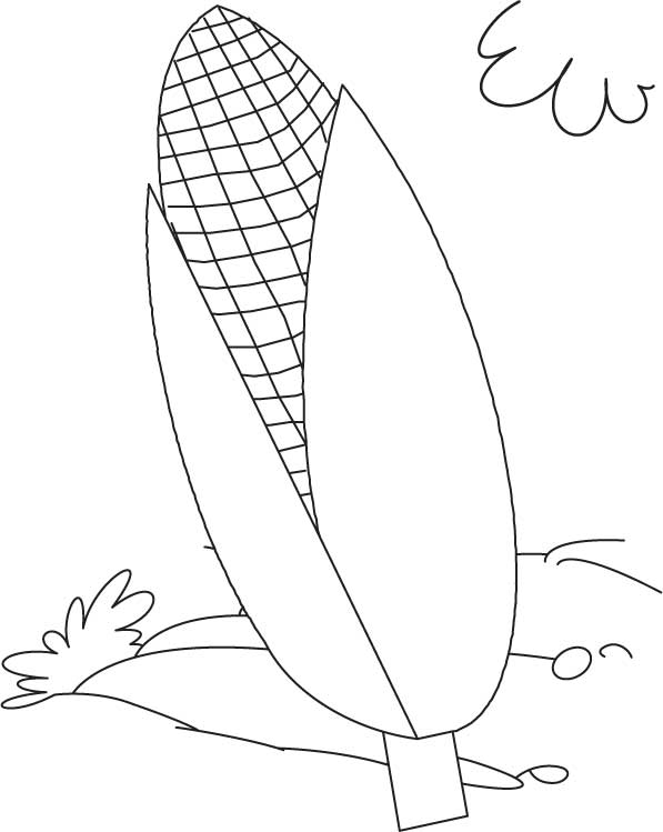 120 Corn Coloring Pages Printable 37