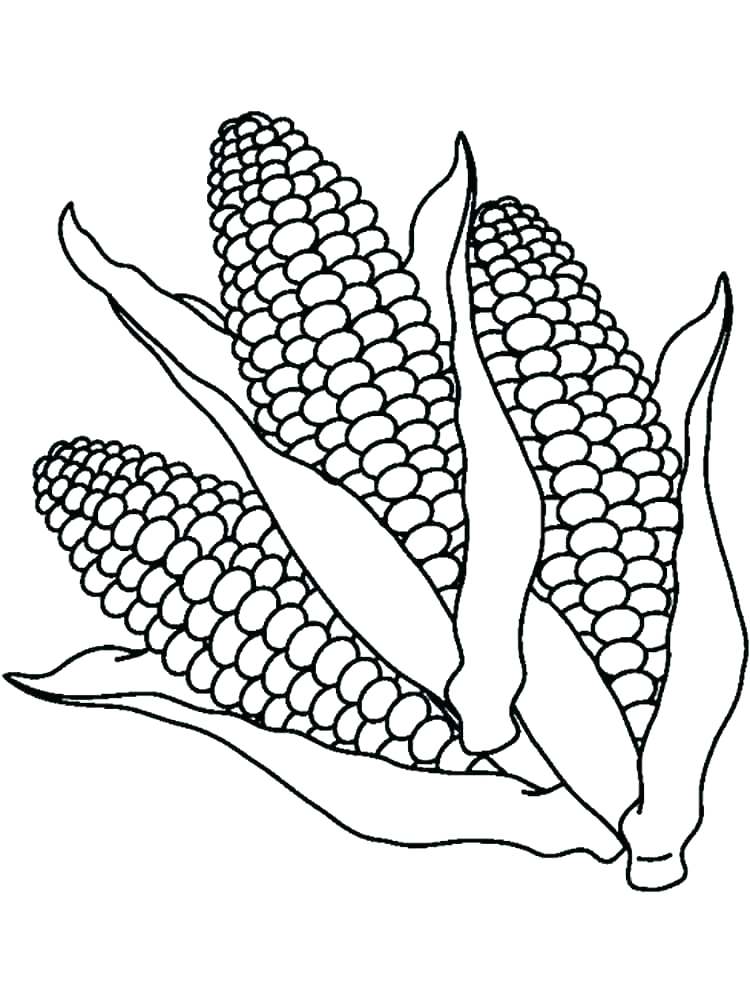 120 Corn Coloring Pages Printable 42