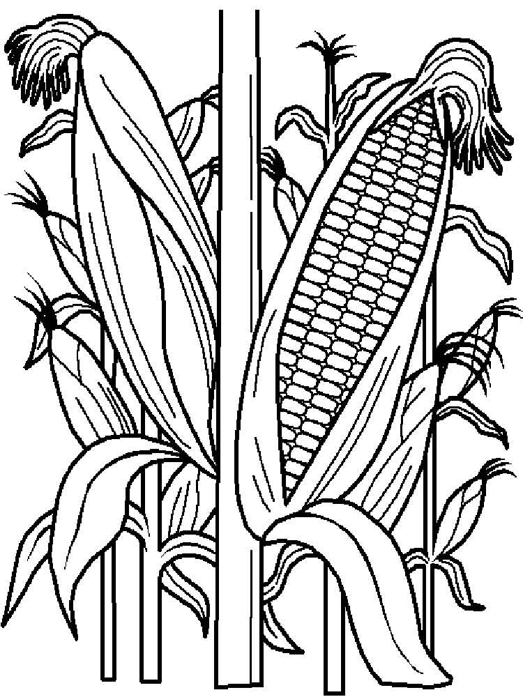 120 Corn Coloring Pages Printable 46