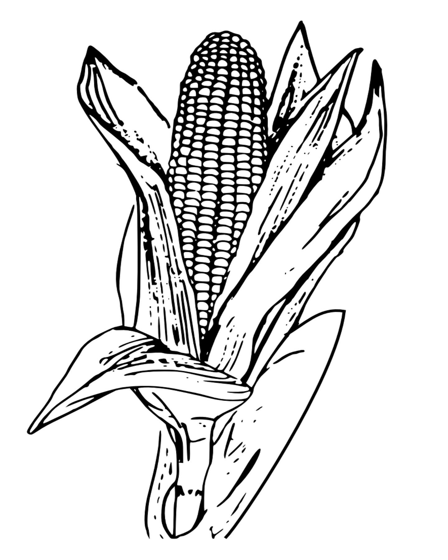 120 Corn Coloring Pages Printable 5