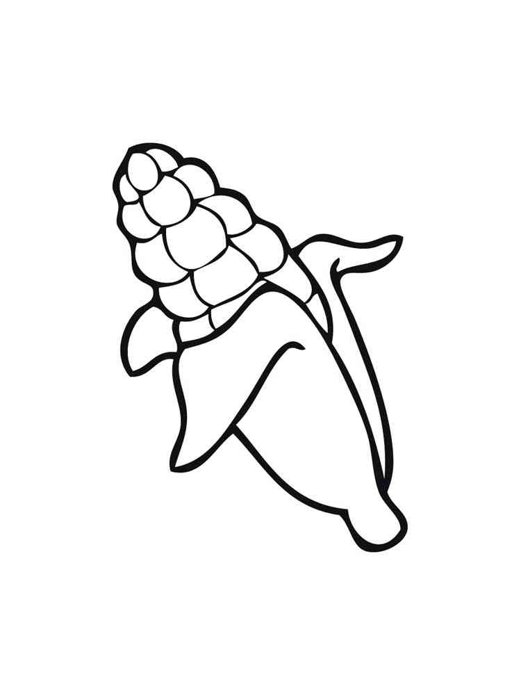 120 Corn Coloring Pages Printable 52