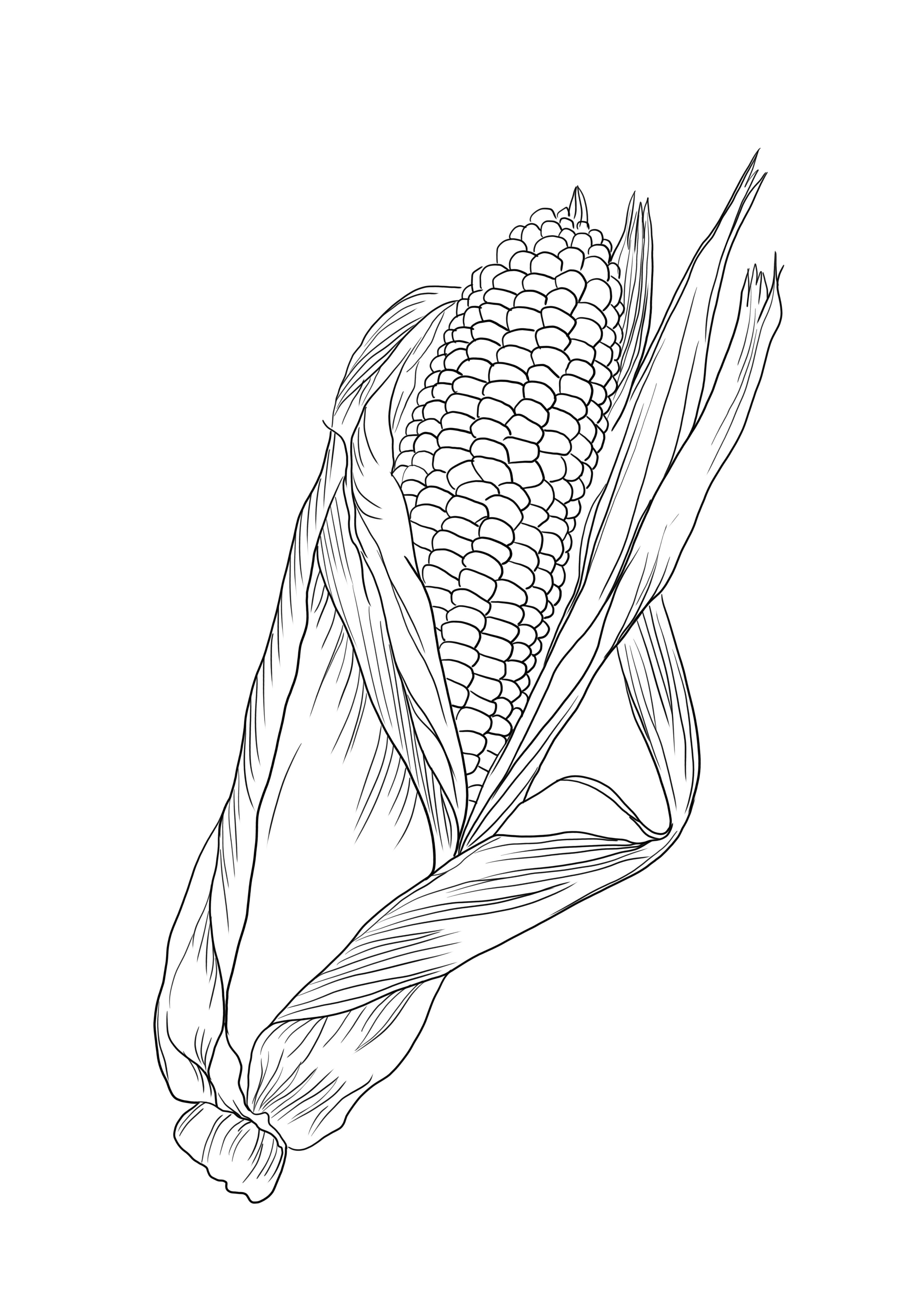 120 Corn Coloring Pages Printable 53