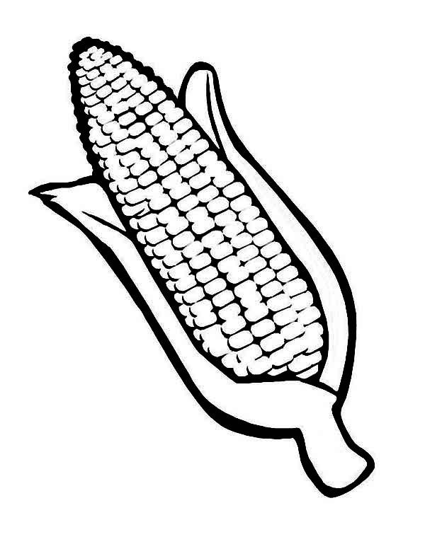 120 Corn Coloring Pages Printable 57