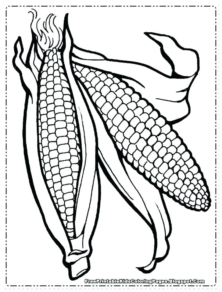 120 Corn Coloring Pages Printable 58