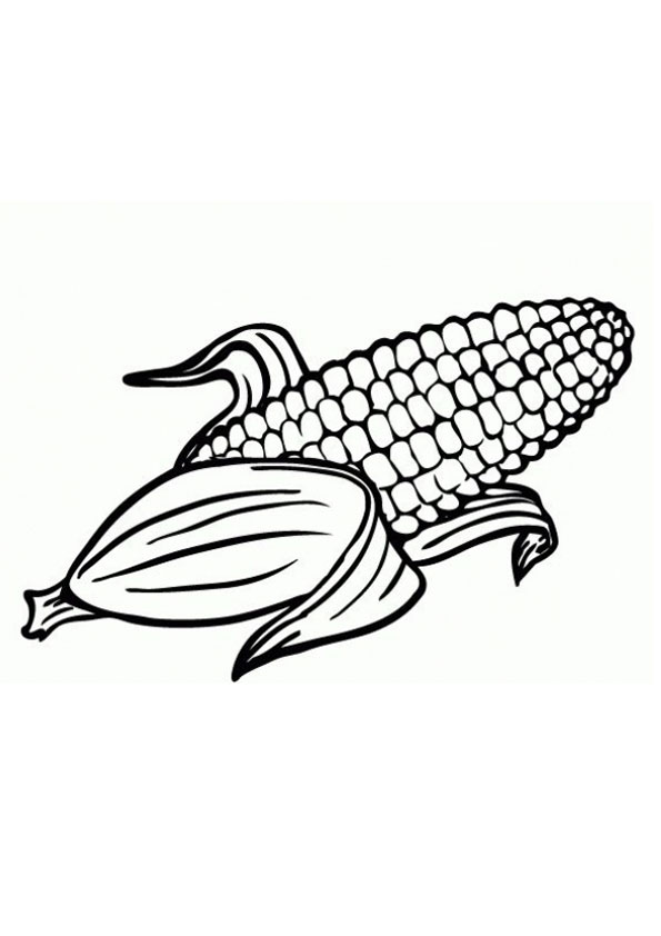 120 Corn Coloring Pages Printable 59