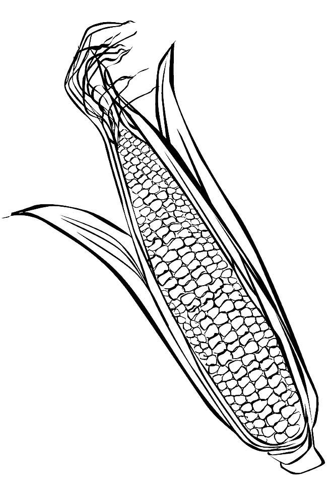 120 Corn Coloring Pages Printable 6